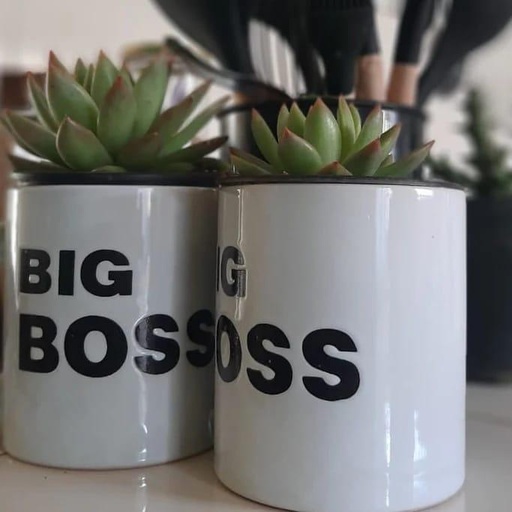 Nash Ceramic Planters- 6" Big Boss